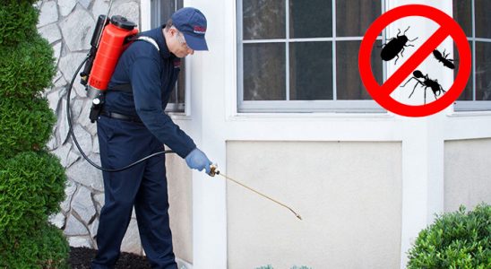 Pehlivanköy Hamam Böceği İlaçlama böcek ilaçlama ve haşere kontrolü — ilaclama-tr.com